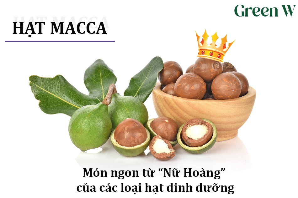 CÁC MÓN NGON ĐƯỢC CHẾ BIẾN TỪ MACCA 